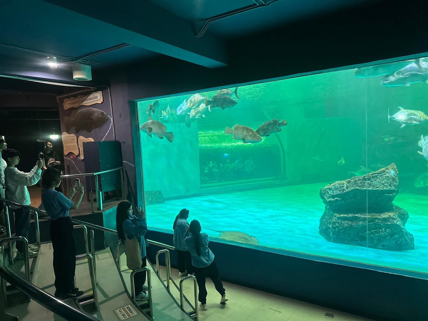 3. 20.11.2567 | นักศึกษา รหัส 65 ศึกษาดูงานแหล่งเรียนรู้ธรรมชาติสัตว์น้ำ "สถาบันวิทยาศาสตร์ทางทะเล มหาวิทยาลัย " ระหว่างวันที่ 21-22 พฤศจิกายน 2567